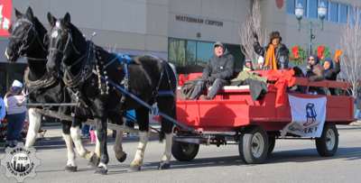 Live horse drawn float