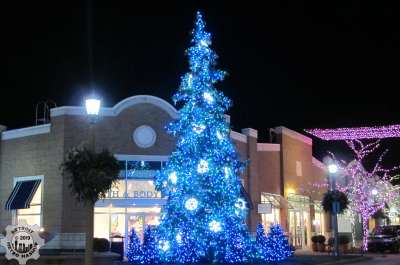 Village blue tree and chalice