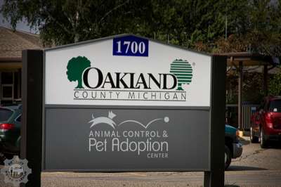 Oakland County Michigan Pet Adoption Center