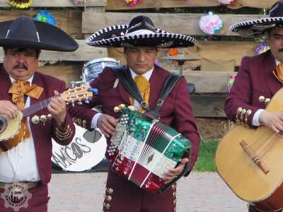 Accordian player